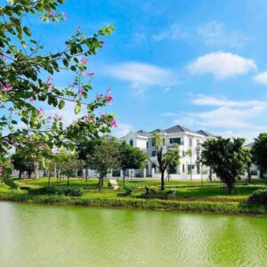 Biệt thự sông Aqua City Ever Green