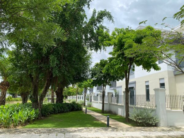 Bán biệt thự Grand Villas Aqua City – 15x20m - Ảnh 8