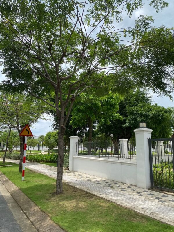 Bán biệt thự Grand Villas Aqua City – 15x20m - Ảnh 6