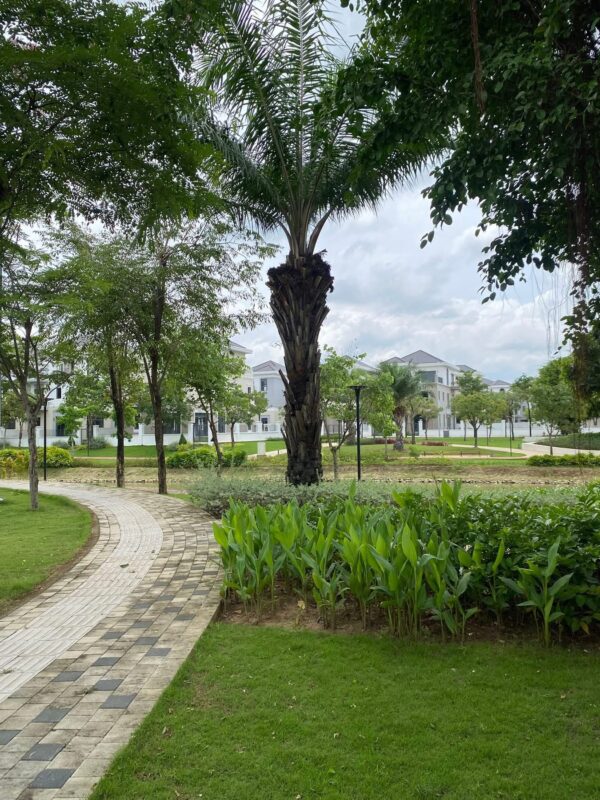 Bán biệt thự Grand Villas Aqua City – 15x20m - Ảnh 4
