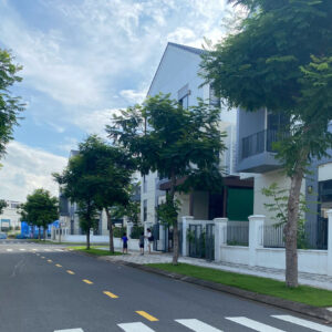 Nhà phố 8x20 sun harbor 2