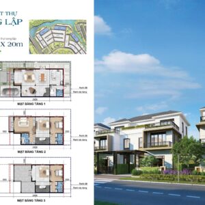 Mặt bằng biệt thự song lập Aqua City