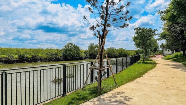 Chuyển Nhượng Biệt Thự Song lập Aqua City Sun Harbor 3 - Ảnh 4