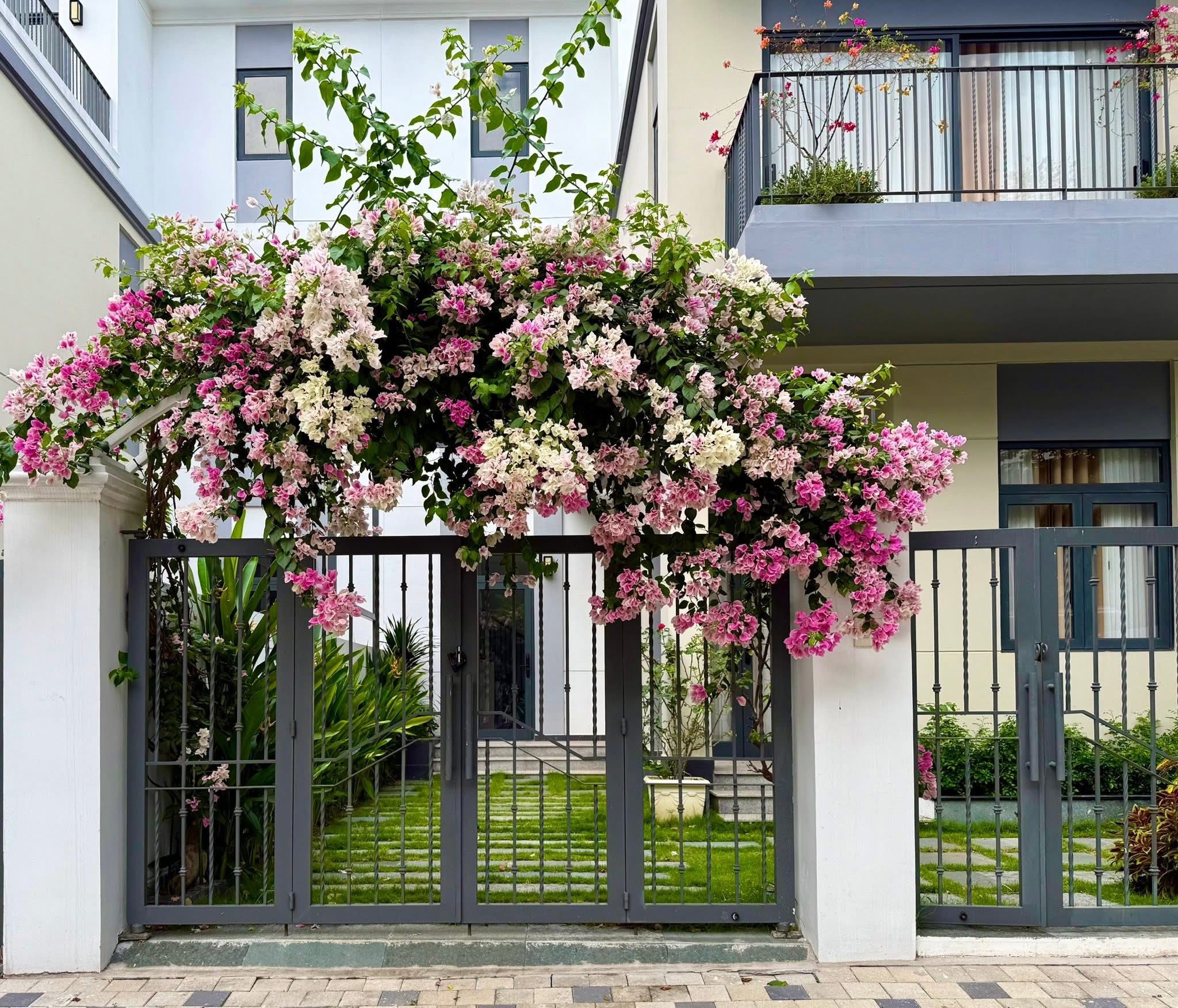 Bán Biệt Thự Song Lập Gần Trường Mầm Non Tại Sun Harbor 2 ( The Suite), Aqua City - Ảnh 2