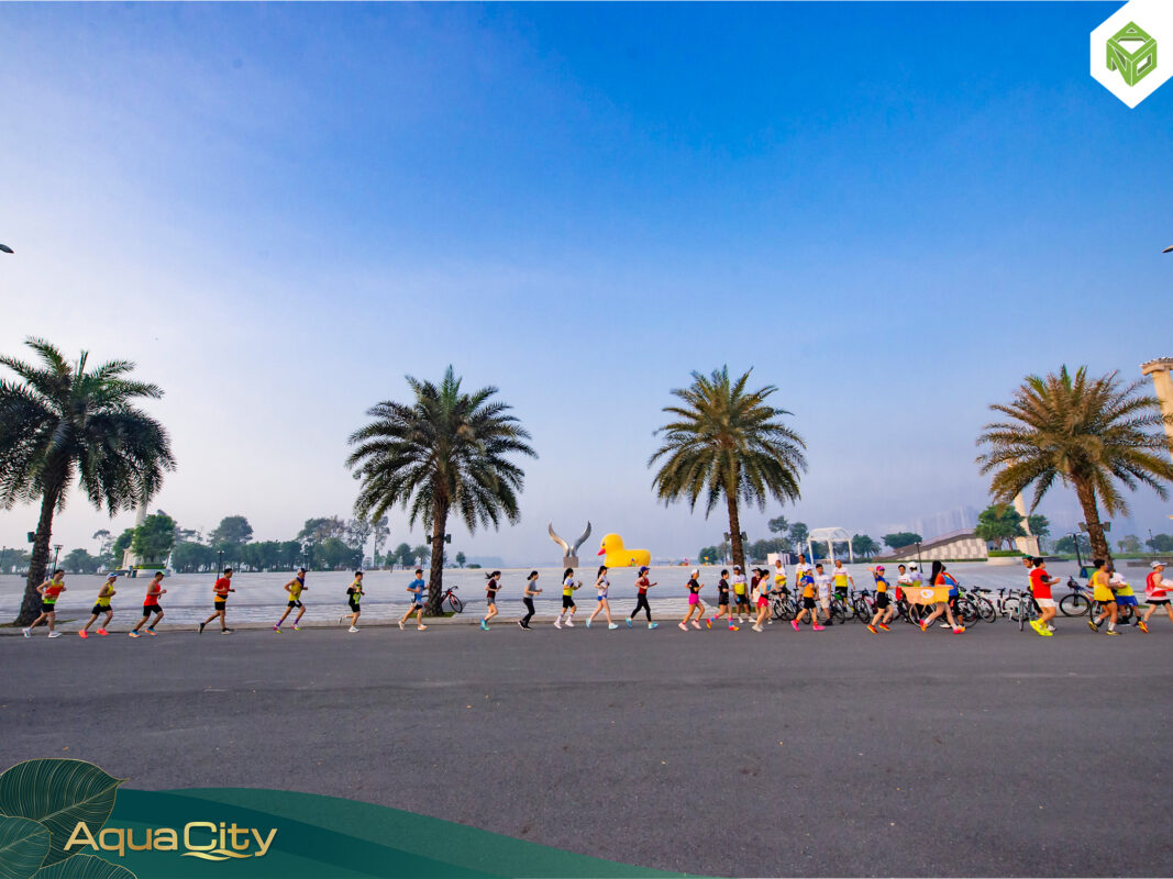 hoạt động thể thao nâng cao sức khỏe tại aqua city