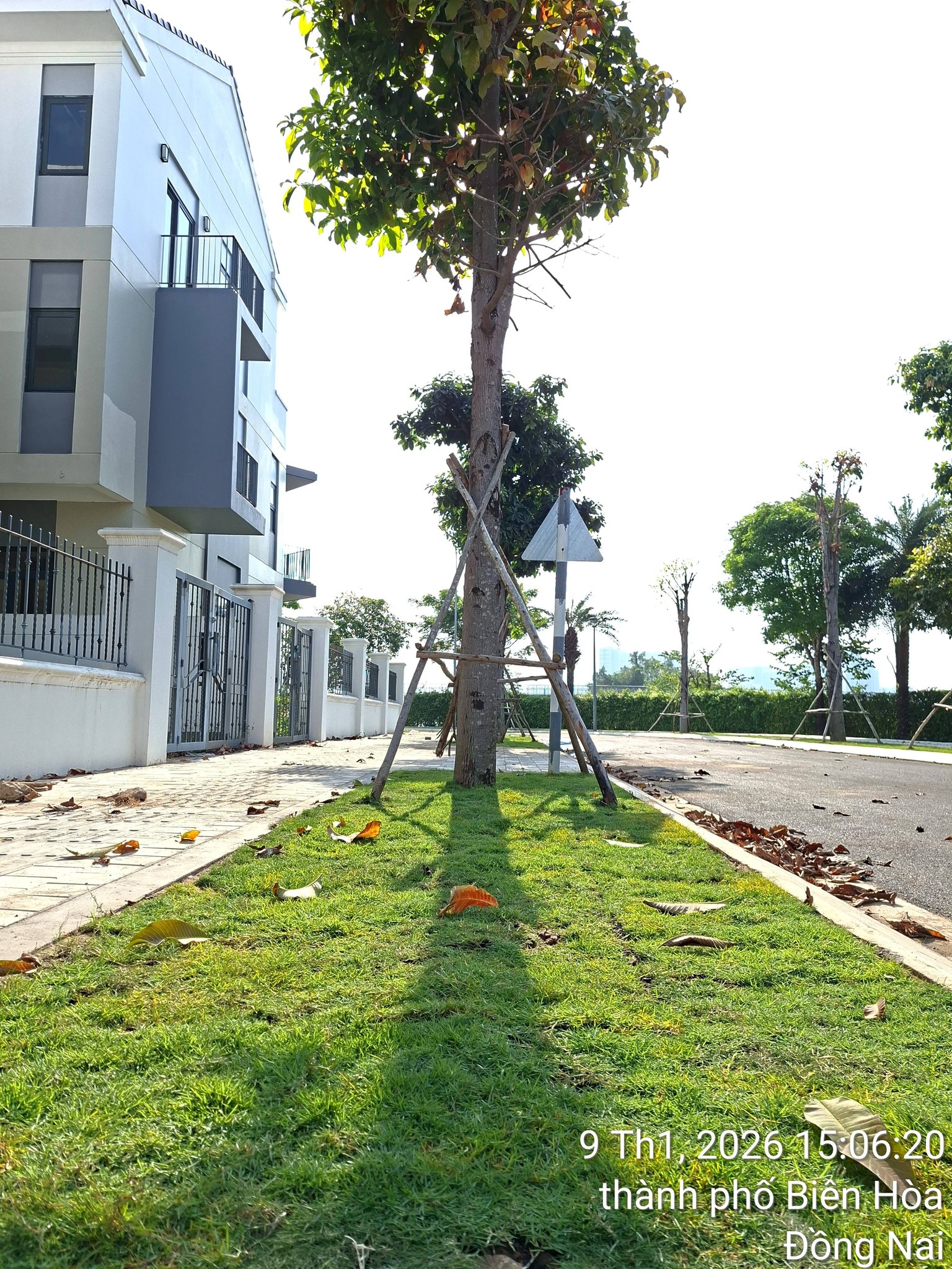 Sun Harbor 2 (The Suite) - Diện mạo mới và tiến độ hiện tại ( 09/01/2026)