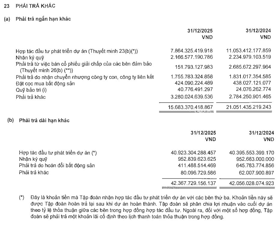 Hơn 67.000 tỷ đồng nợ vay của Novaland gồm những gì?